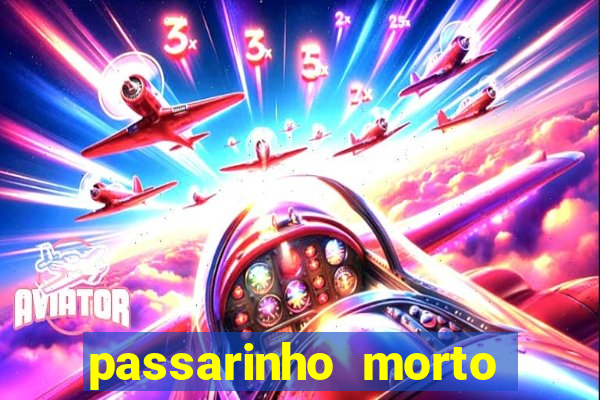 passarinho morto significado espiritual